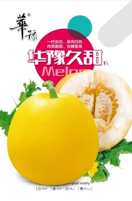 华豫久甜