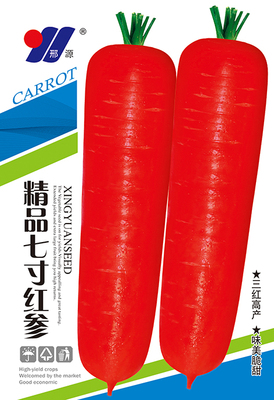 精品七寸红参1