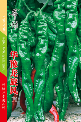 华豫龙旋风F1