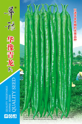 华豫青龙F1