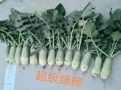 超级绿粹
