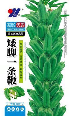 矮脚一条鞭