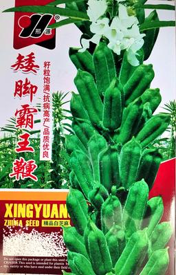 矮脚霸王鞭