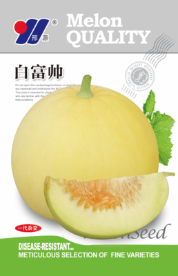 白富帅